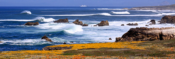 Montana De Oro