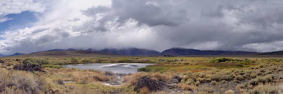 Hot Spring Pond-Mono Lake Basin