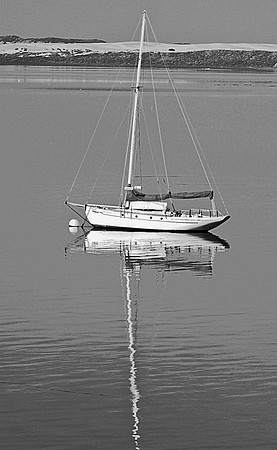 Tall Mast