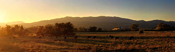Ranch Sunset