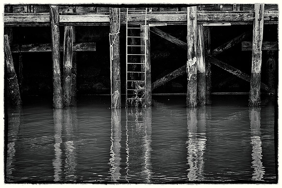 Wharf Reflection