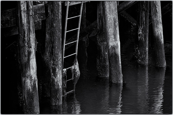 Pier Pilings