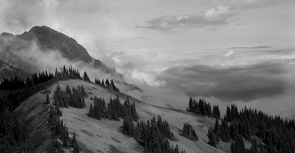 Hurricane Ridge