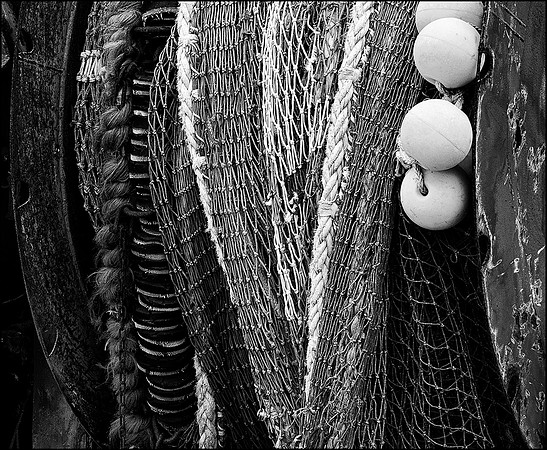Trawler Net